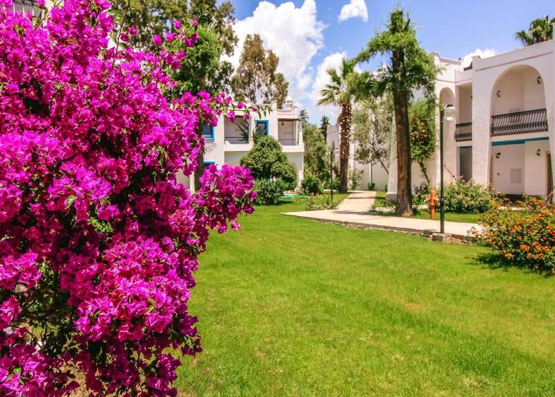 Club Muskebi Hotel