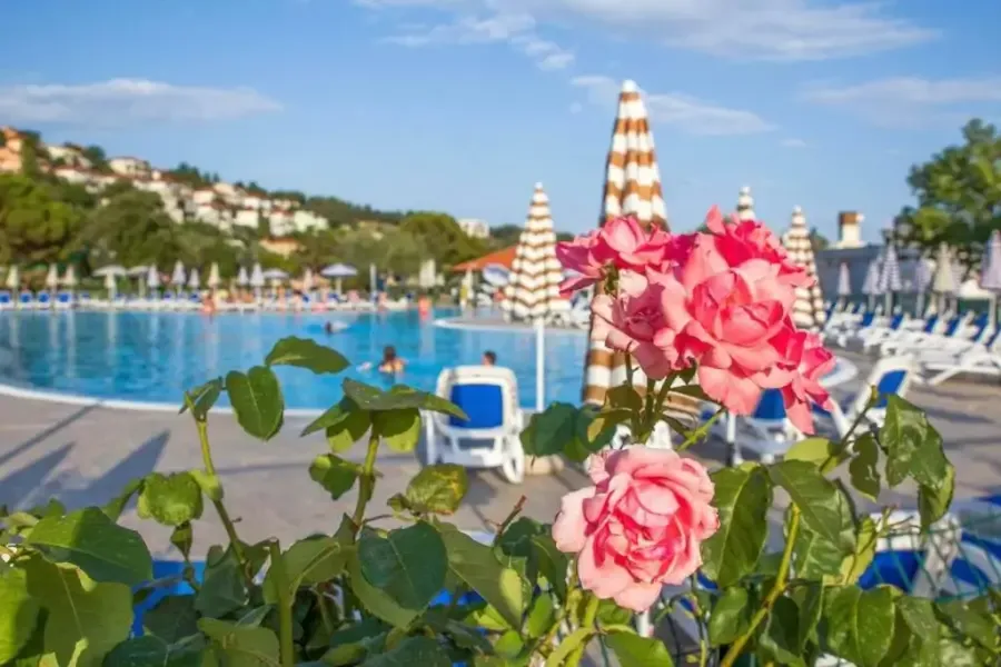 Hotel Hedera