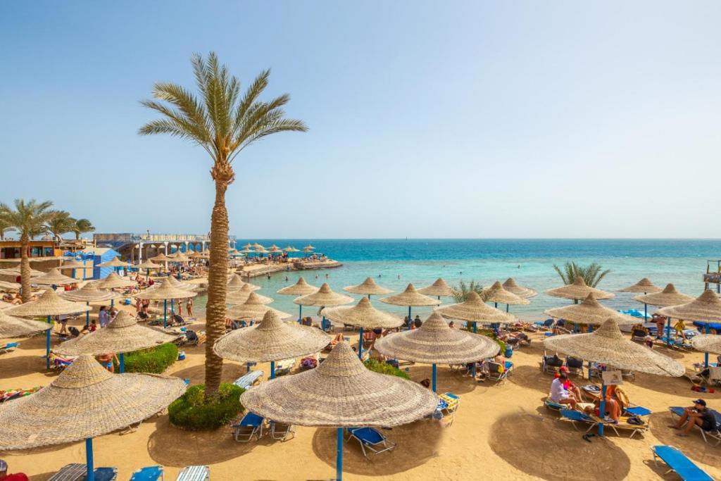 King Tut Aqua Park Beach Resort
