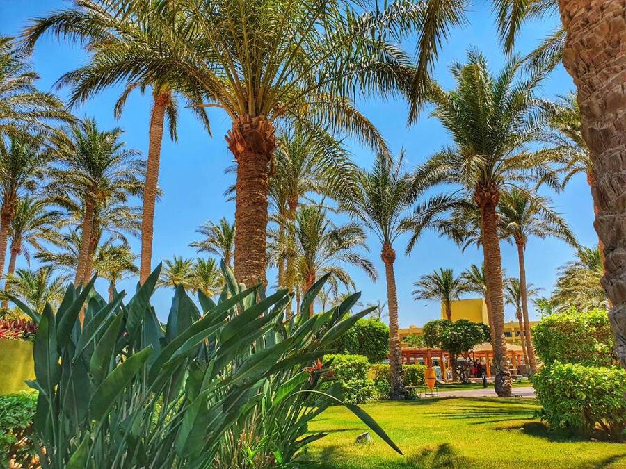Palm Beach Resort