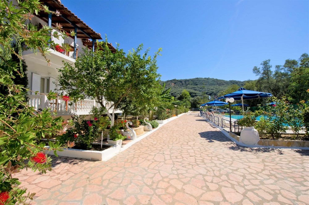 Vila Olive Tree
