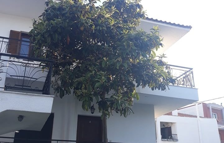 Vila Lenas Garden