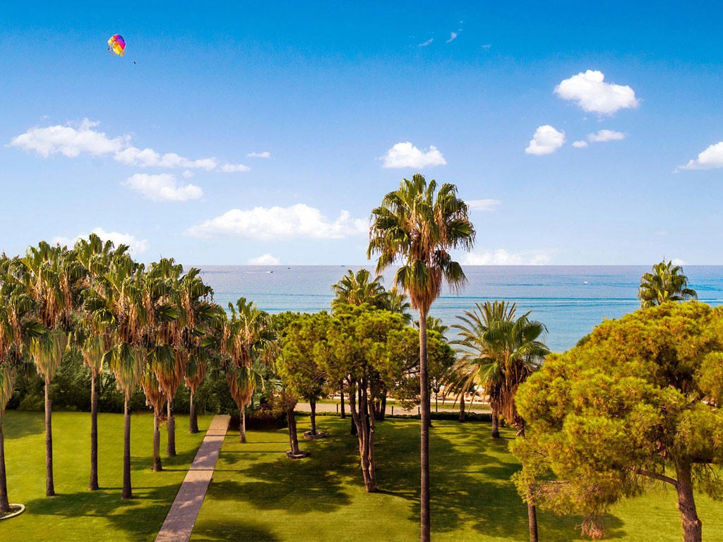 Acanthus and Cennet Barut Collection