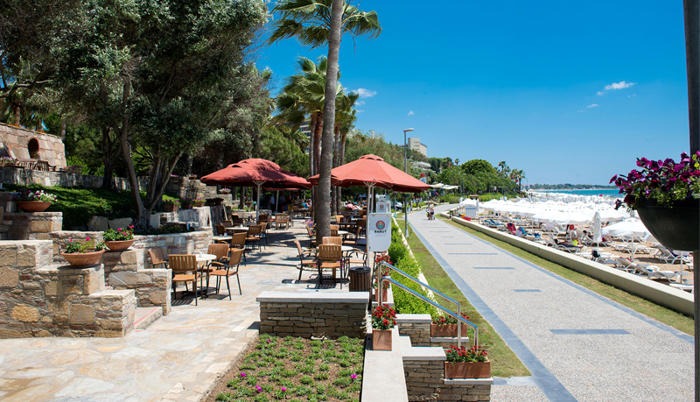 Arum Barut Collection