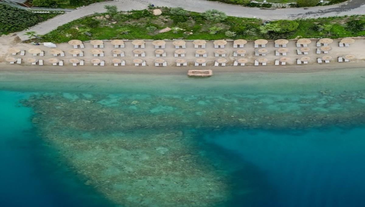La Blanche Island