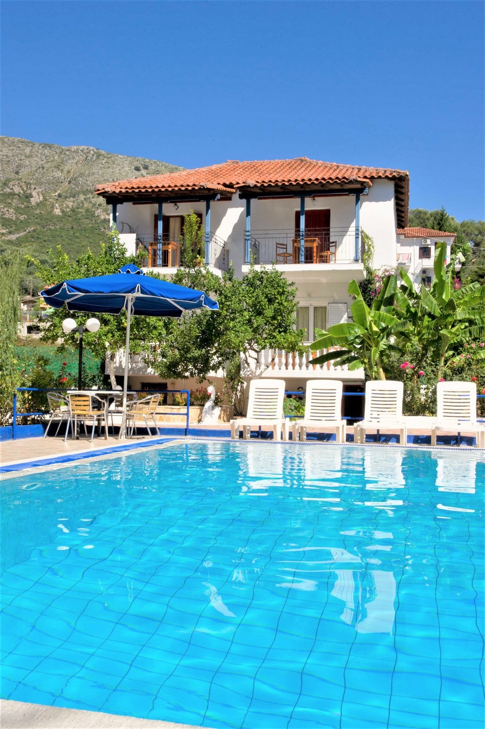 Vila Olive Tree