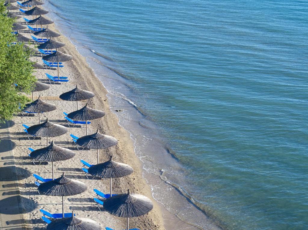 Delfinia Hotel