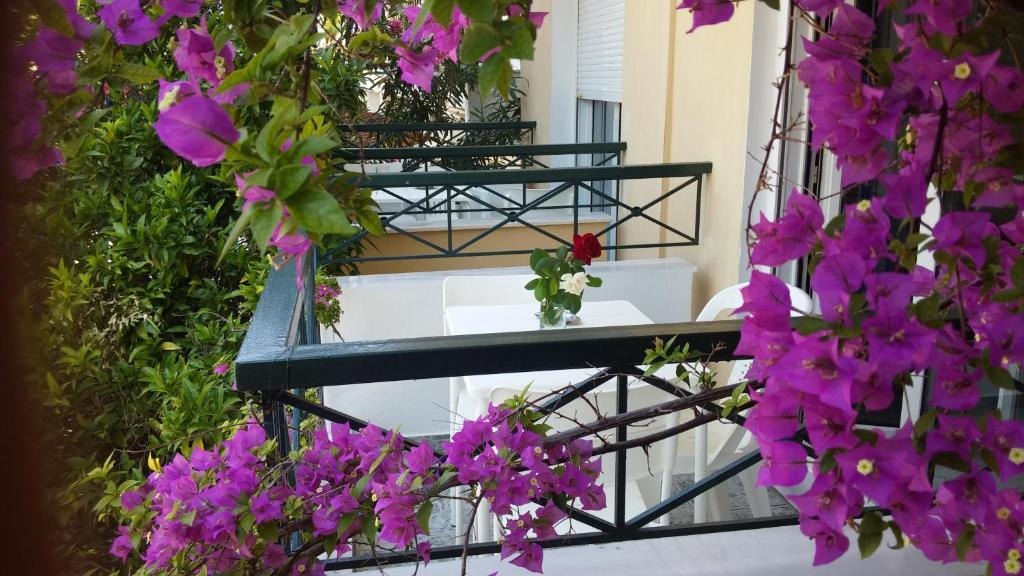 Vila Flesvos