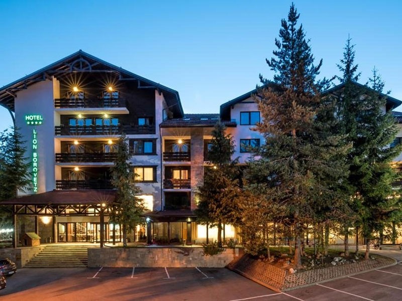 Hotel Lion