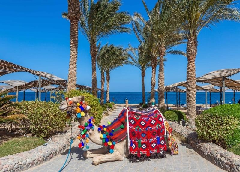 Sphinx Aqua Park Beach Resort