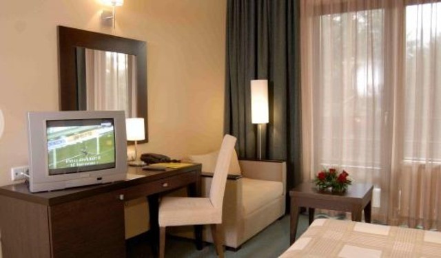 Hotel Lion