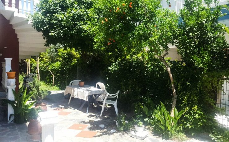 Vila Poly