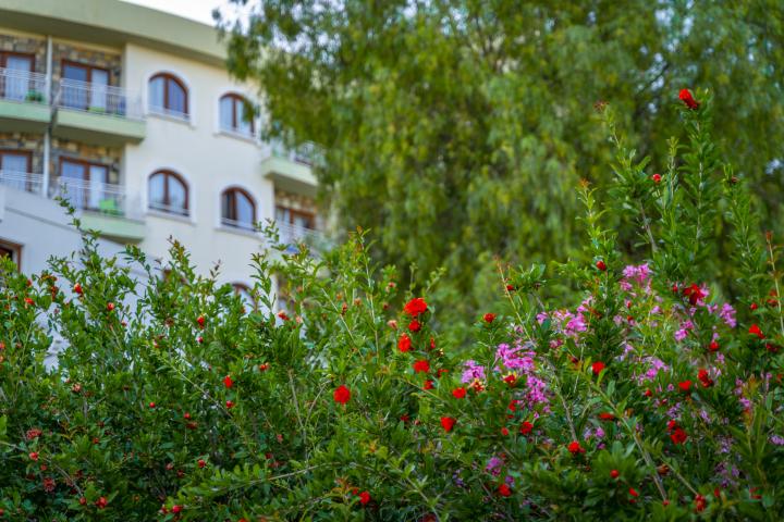 Riva Bodrum Resort