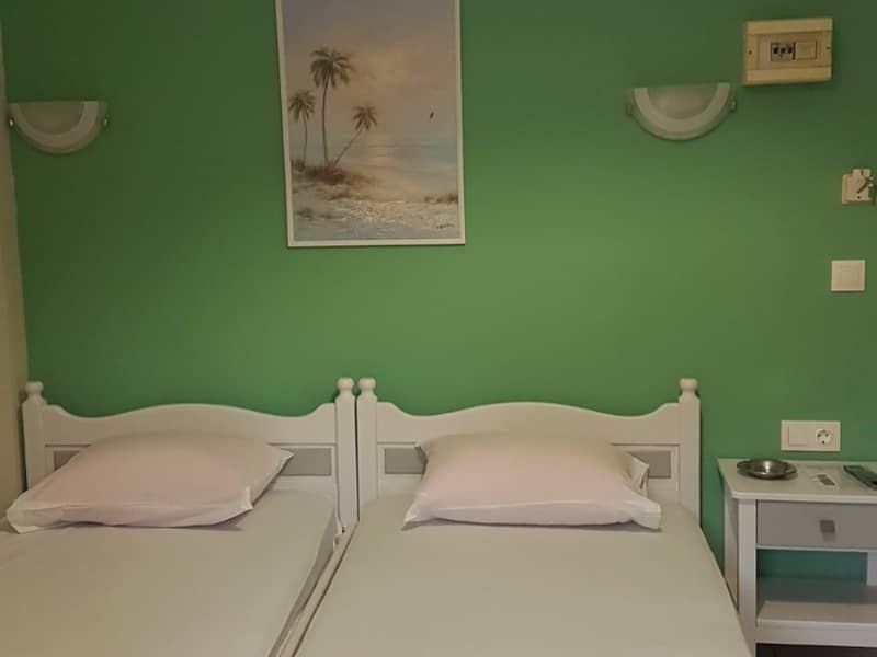 Vila Ion