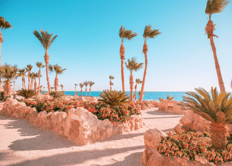 Picklbatros Citadel Resort