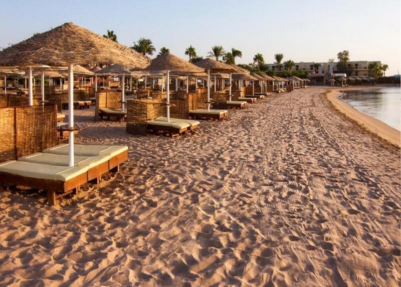 Paradise Abu Soma