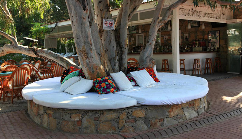 Okaliptus Hotel