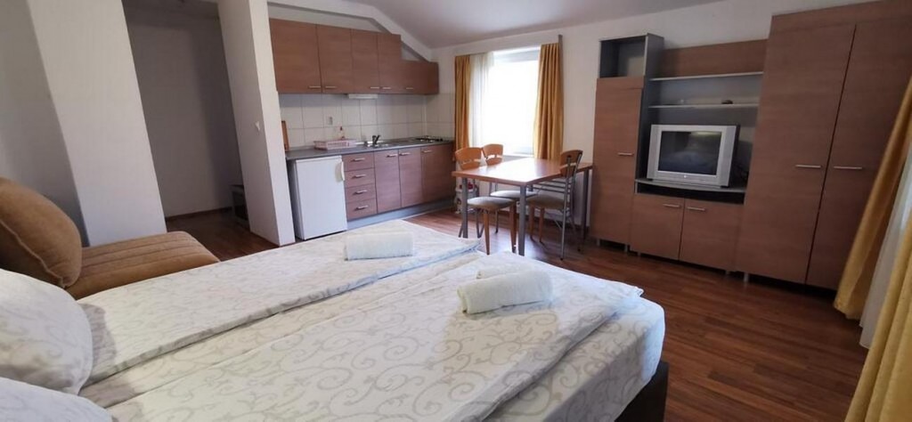 Vila Banjica