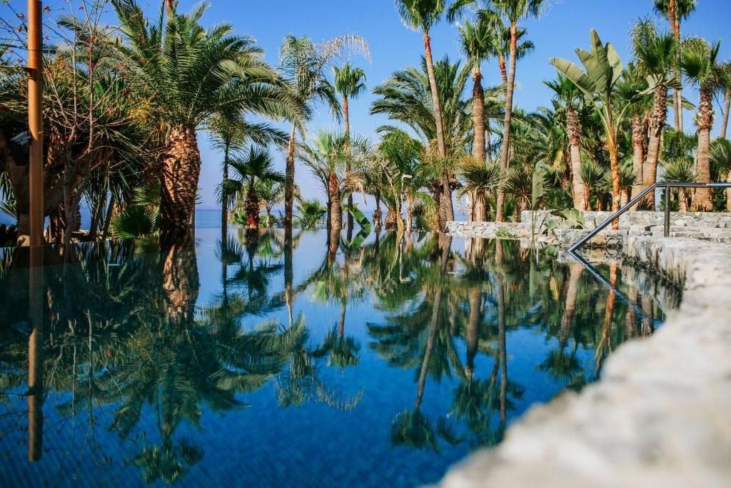 Hotel Amathus Beach