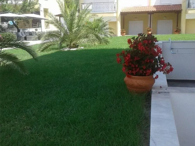 Vila Sofia 3