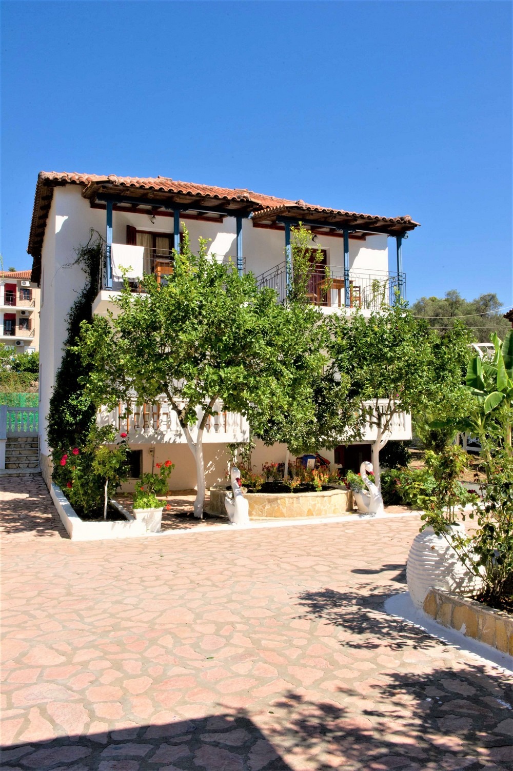 Vila Olive Tree