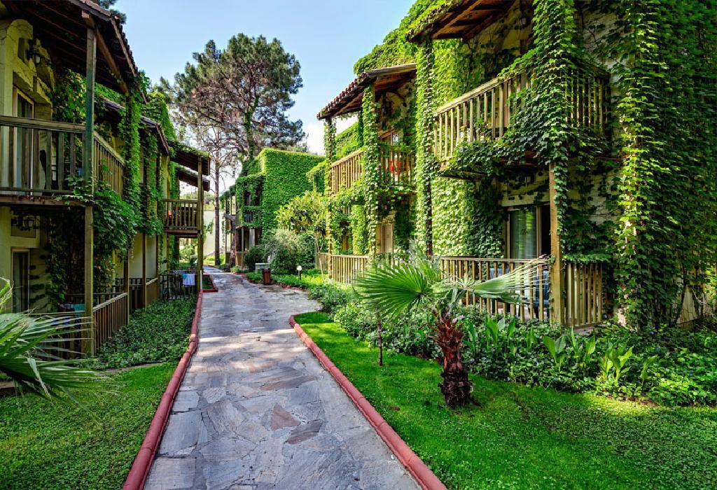 Hotel Gypsophila Club Marine