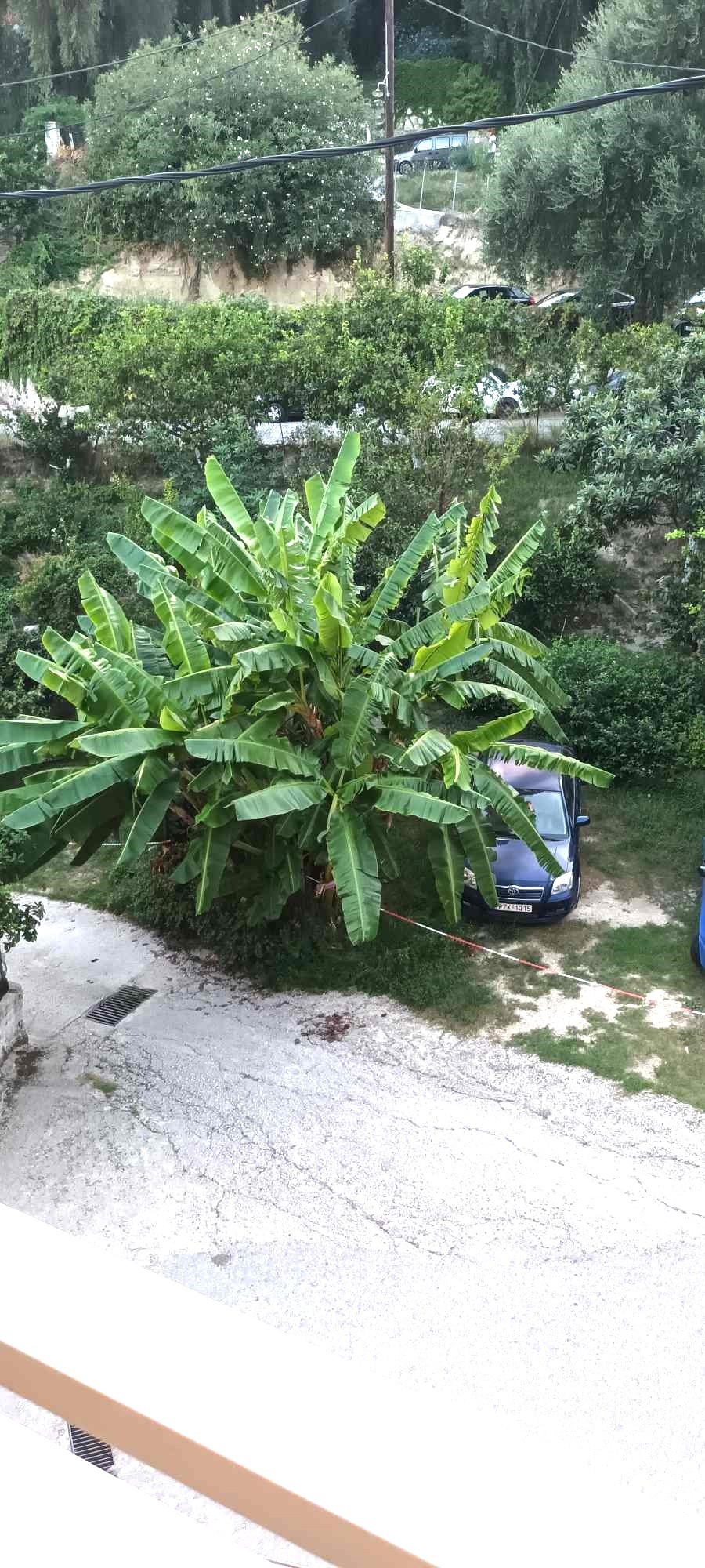 Vila Ira