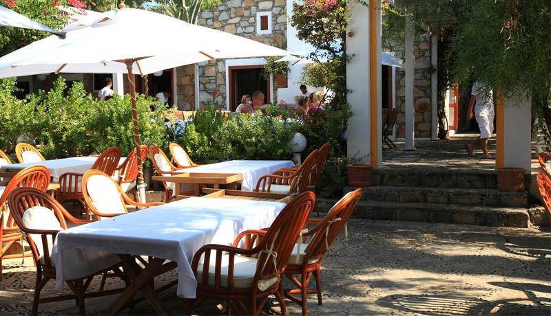 Okaliptus Hotel