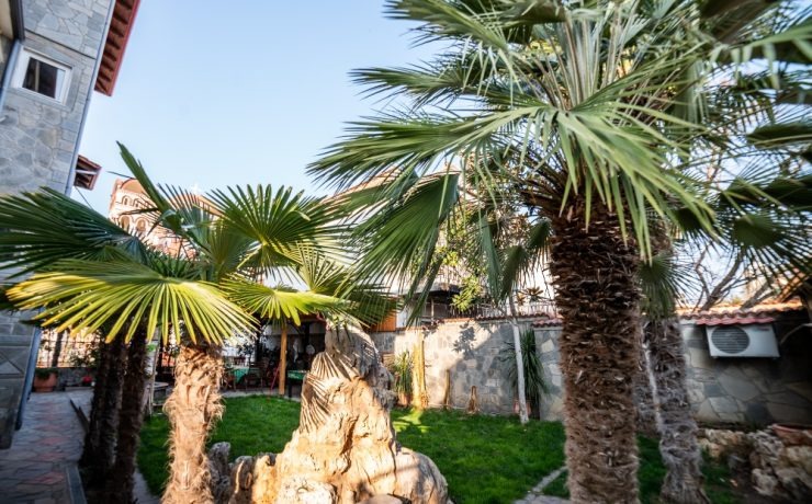 Vila Alexandra studios