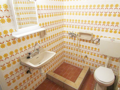 Vila Mirela