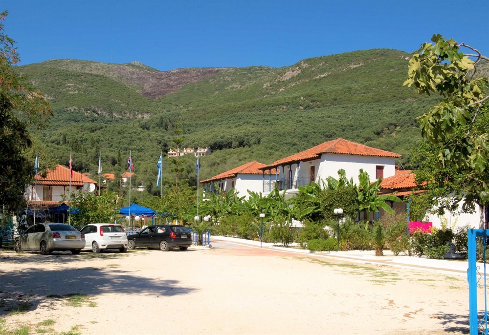 Vila Olive Tree