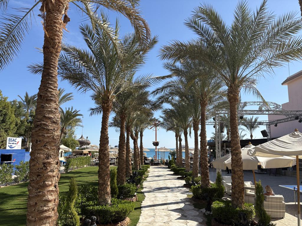 Elysees Dream Beach Hotel