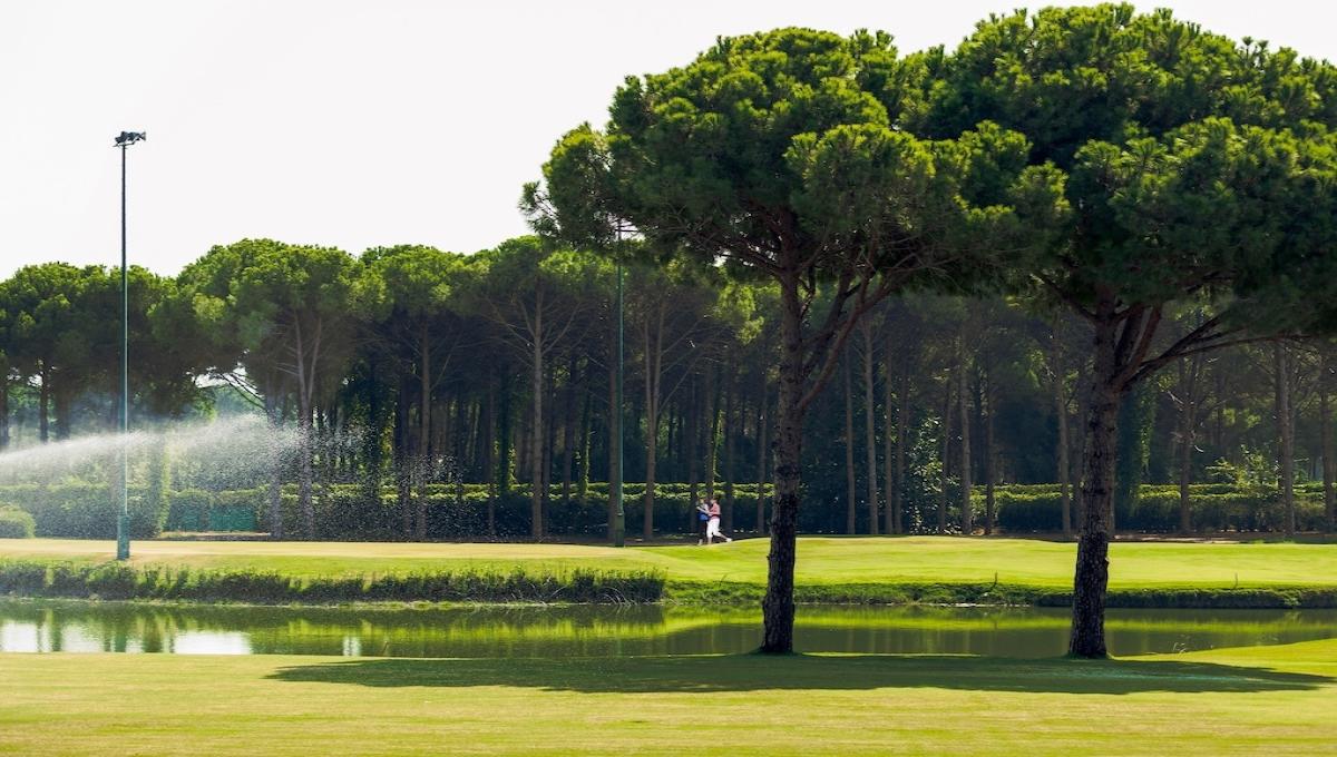 Regnum Carya