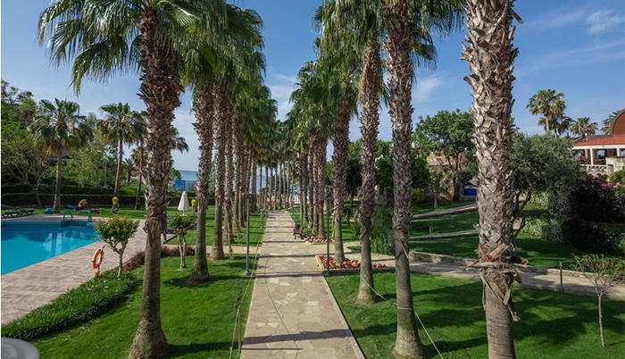 Arum Barut Collection