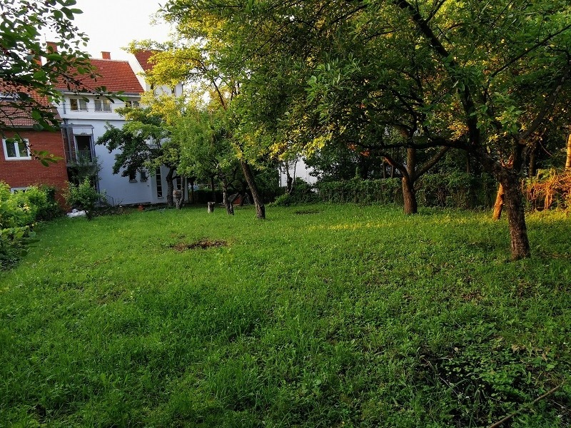 Vila Breza