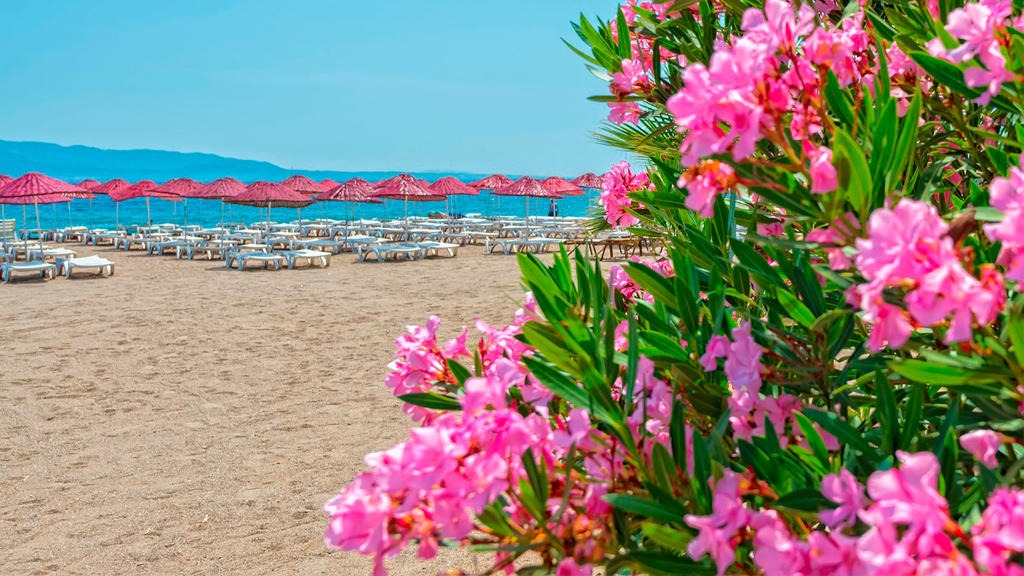 Bendis Beach Hotel