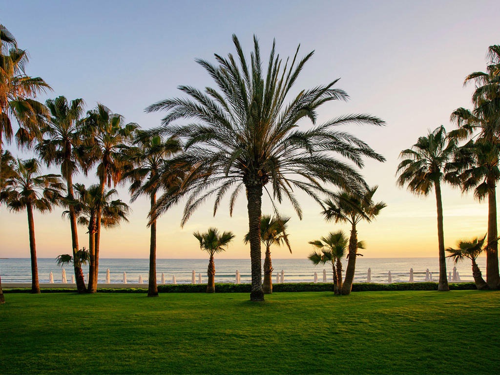 Acanthus and Cennet Barut Collection