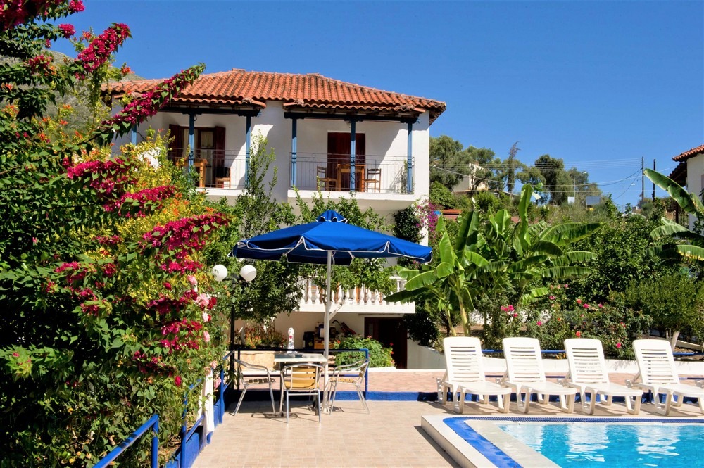 Vila Olive Tree