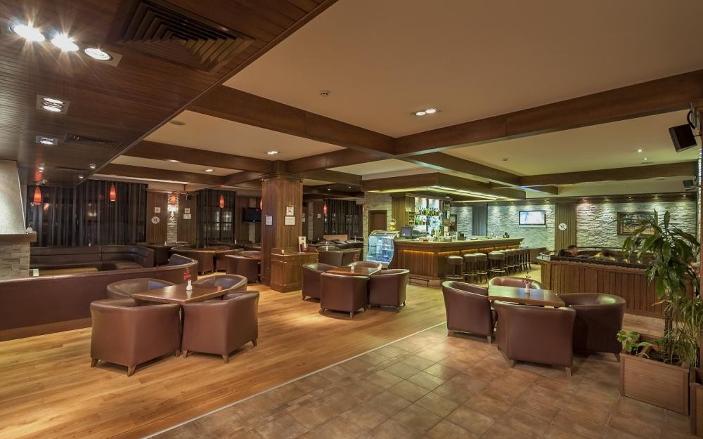 Hotel Lion