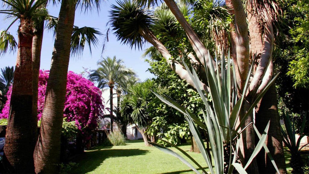 Apartamentos Bajondillo