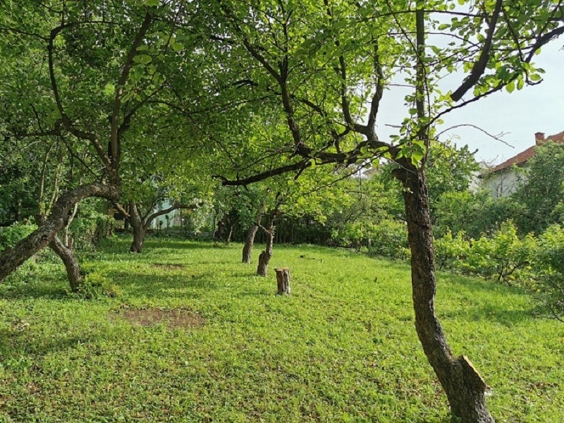 Vila Breza