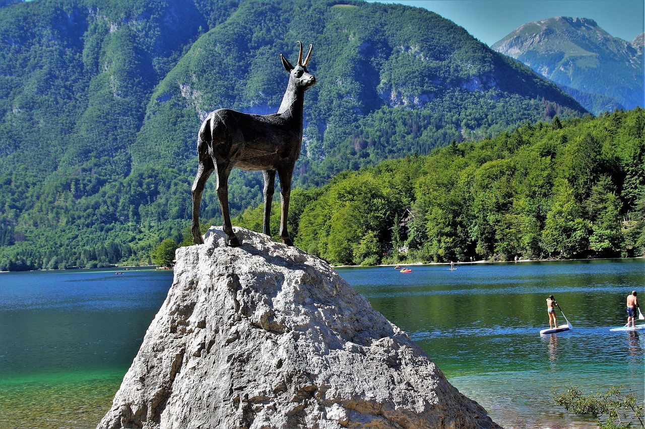 Bohinj