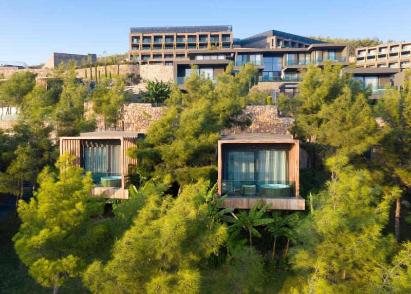 Lujo Hotel