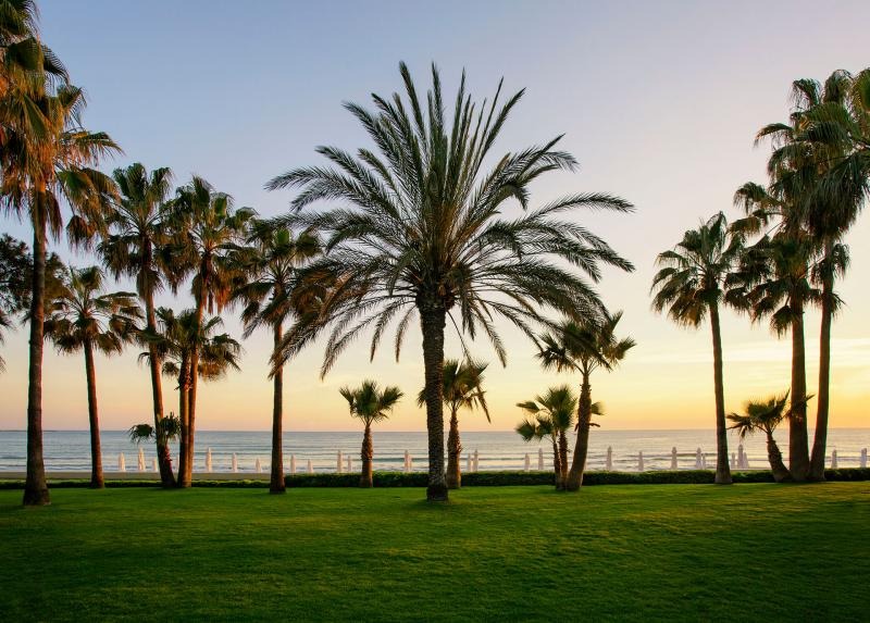 Acanthus & Cennet Barut Collection