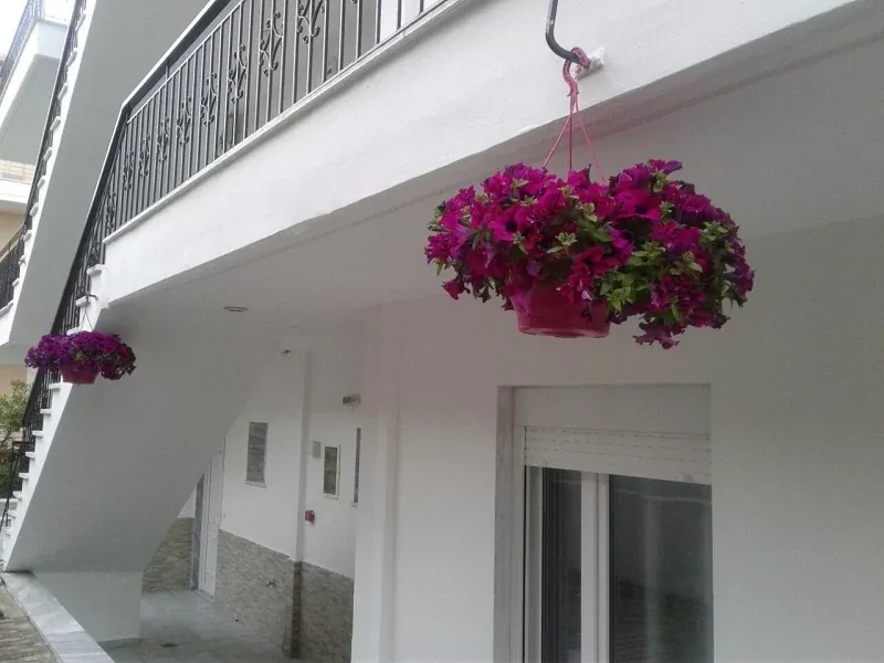 Vila Sofia 2