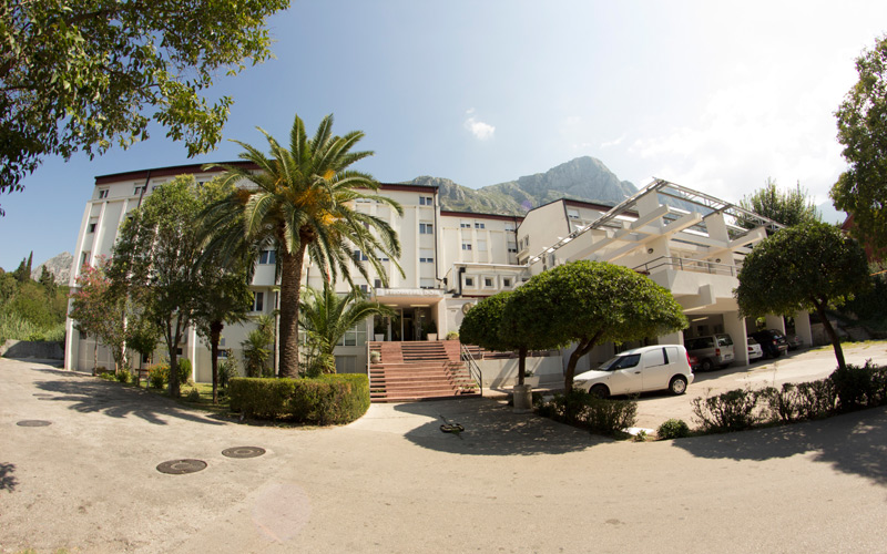 Hostel Dobrota