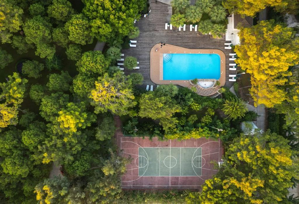 Balmy Foresta (ex. Paloma Foresta Resort)