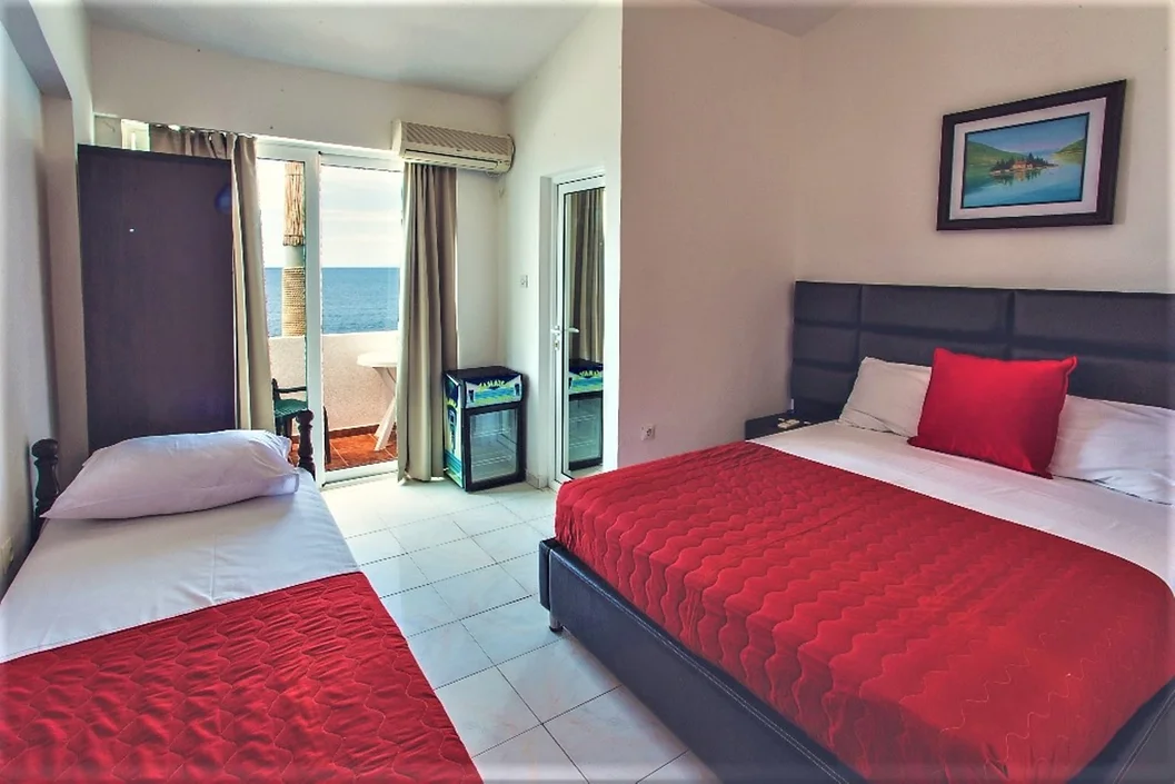 Apart Hotel David