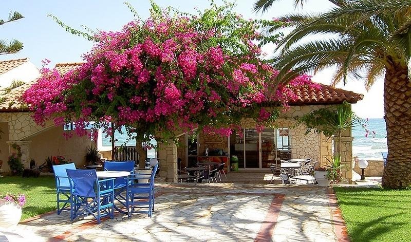 Hotel Zakantha Beach