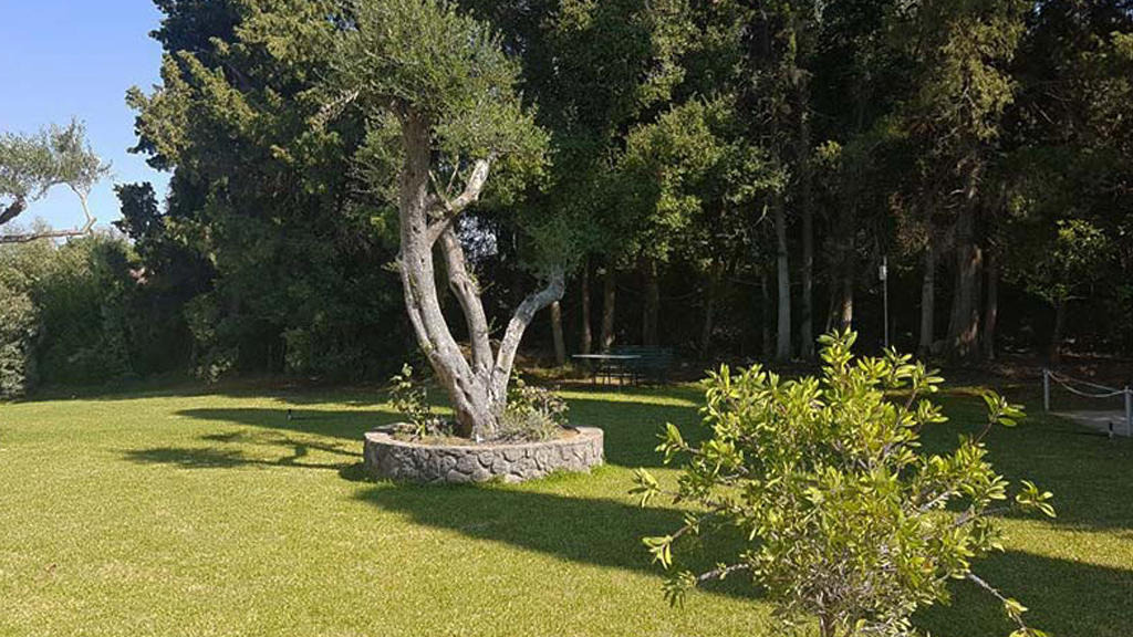 Primavera Hotel